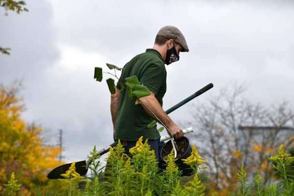 Comment utiliser efficacement l'énergie solaire pour éclairer son jardin ?
